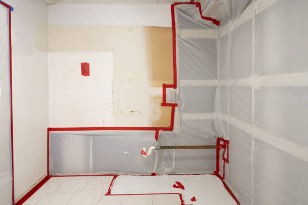 Best Biohazard Mold Removal  in Red Oak, NC